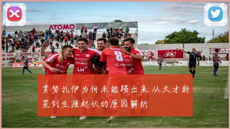 贾努扎伊为何未能踢出来 从天才新星到生涯起伏的原因解析